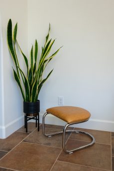 The Lorren Ottoman in Light Honey