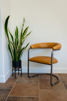 The Lorren Chair in Light Honey and Natural Steel